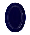 Glossy Cobalt Rice Plate