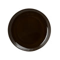 Glossy Brown Dinner Plate